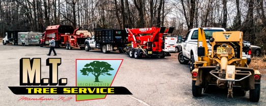 mttreeservice